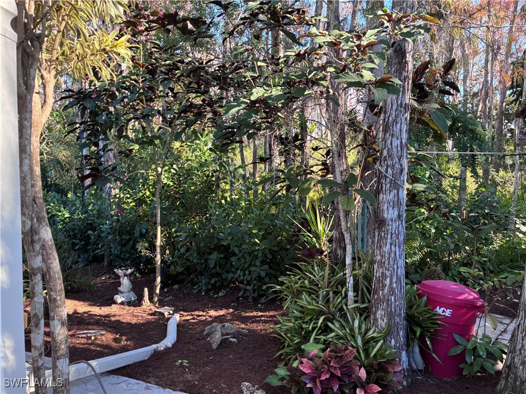 10727 Maui Circle Estero FL 33928 226001480 image4