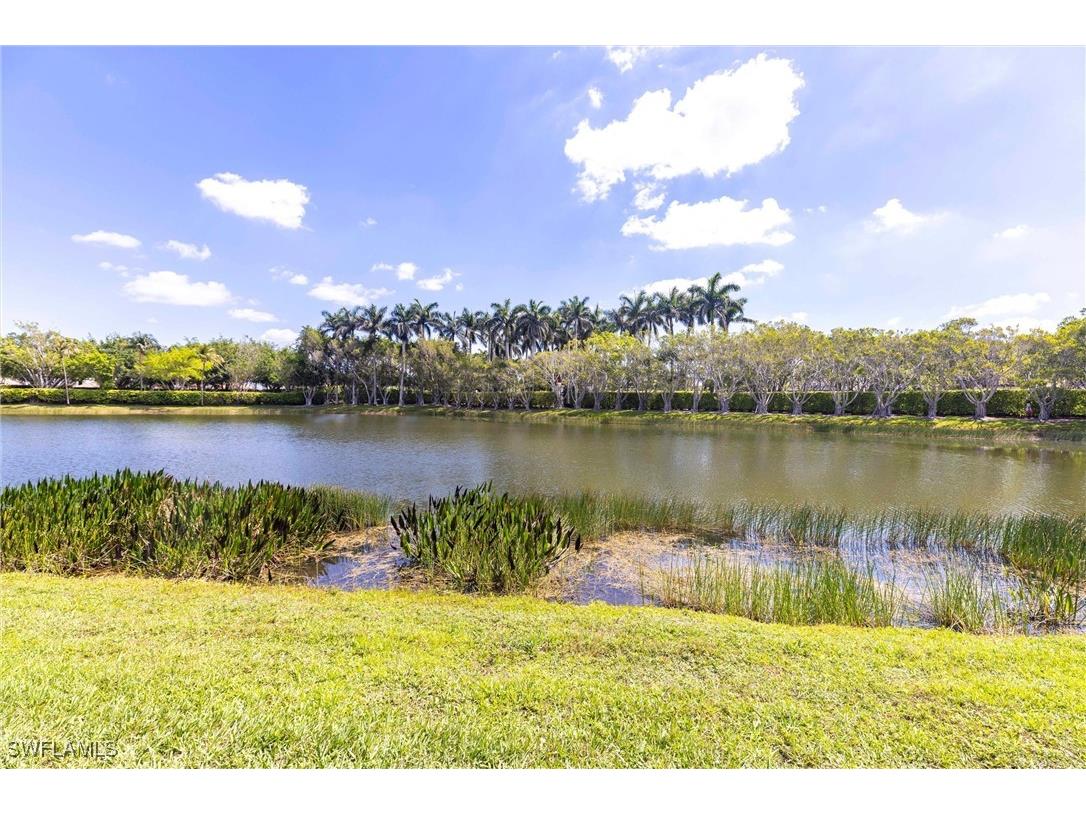10740 Mirasol Drive #201 Miromar Lakes FL 33913 225068154 image39