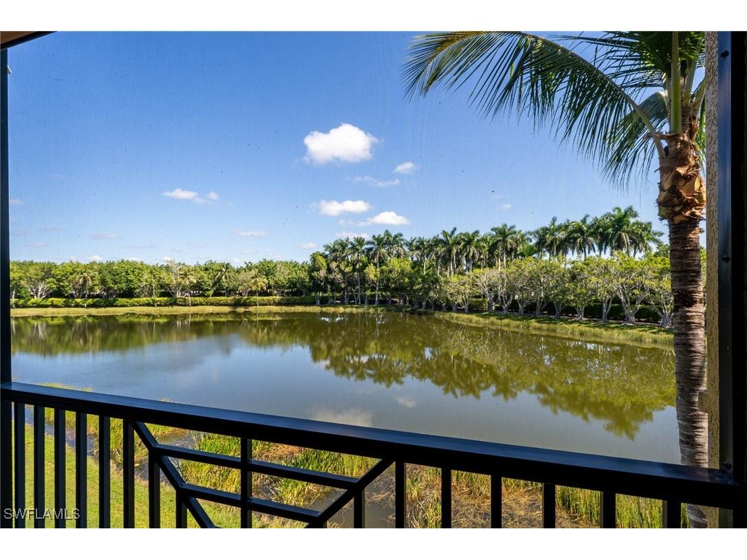 10740 Mirasol Drive #203 Miromar Lakes FL 33913 225076422 image29