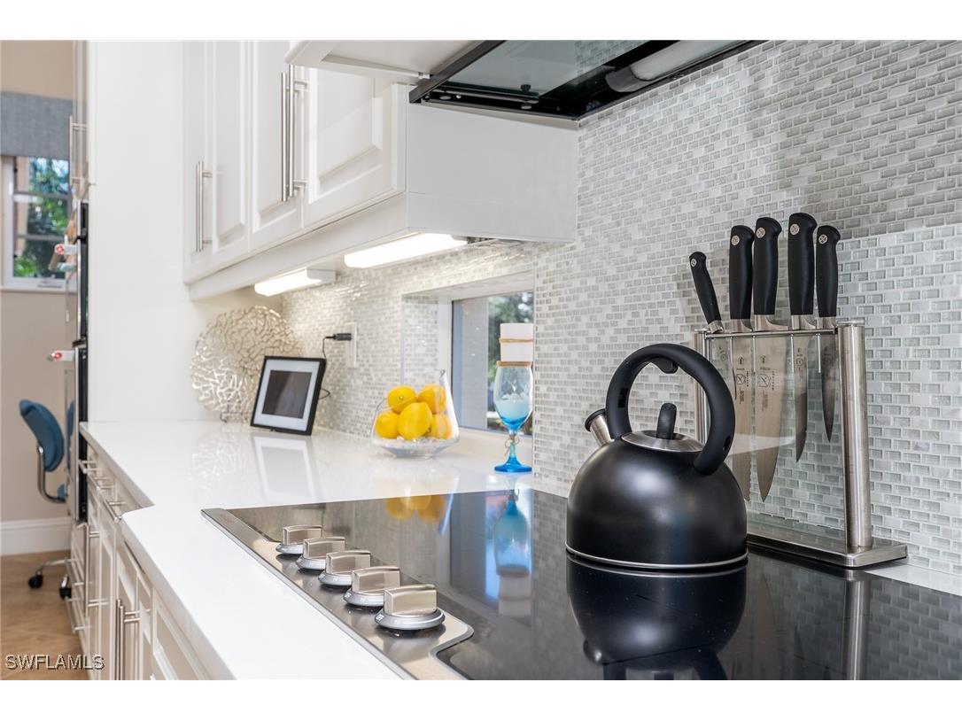 10740 Mirasol Drive #203 Miromar Lakes FL 33913 225076422 image9