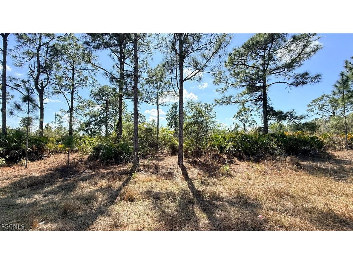 1076 Bells Street E Lehigh Acres FL 33974 2026008788 image1