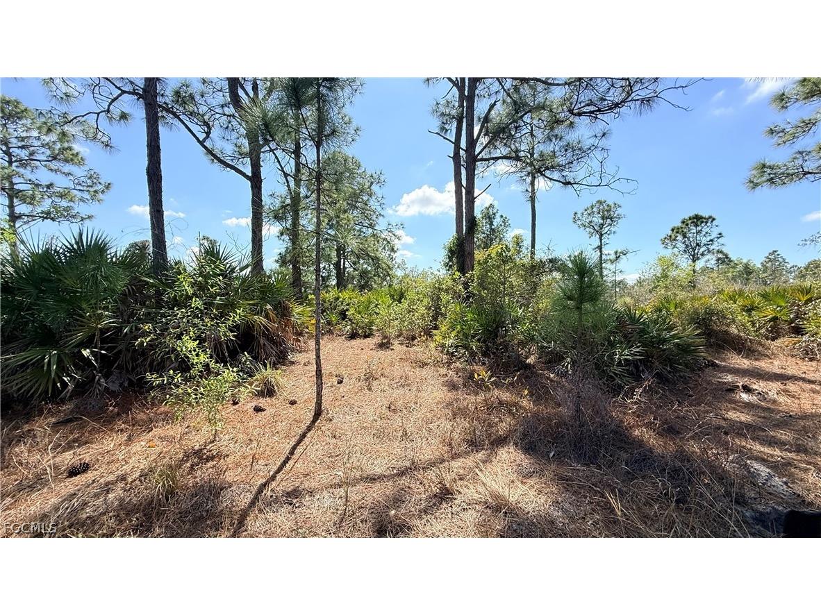 1076 Bells Street E Lehigh Acres FL 33974 2026008788 image4
