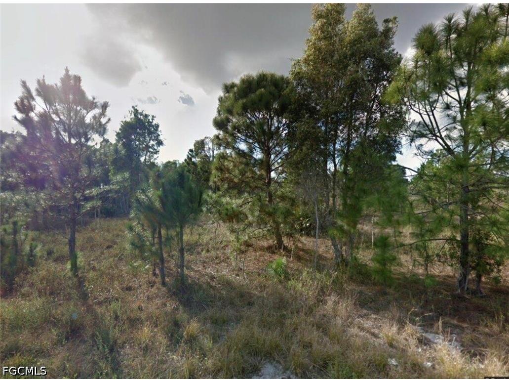 1076 Portland Avenue S Lehigh Acres FL 33974 2026023458 image1