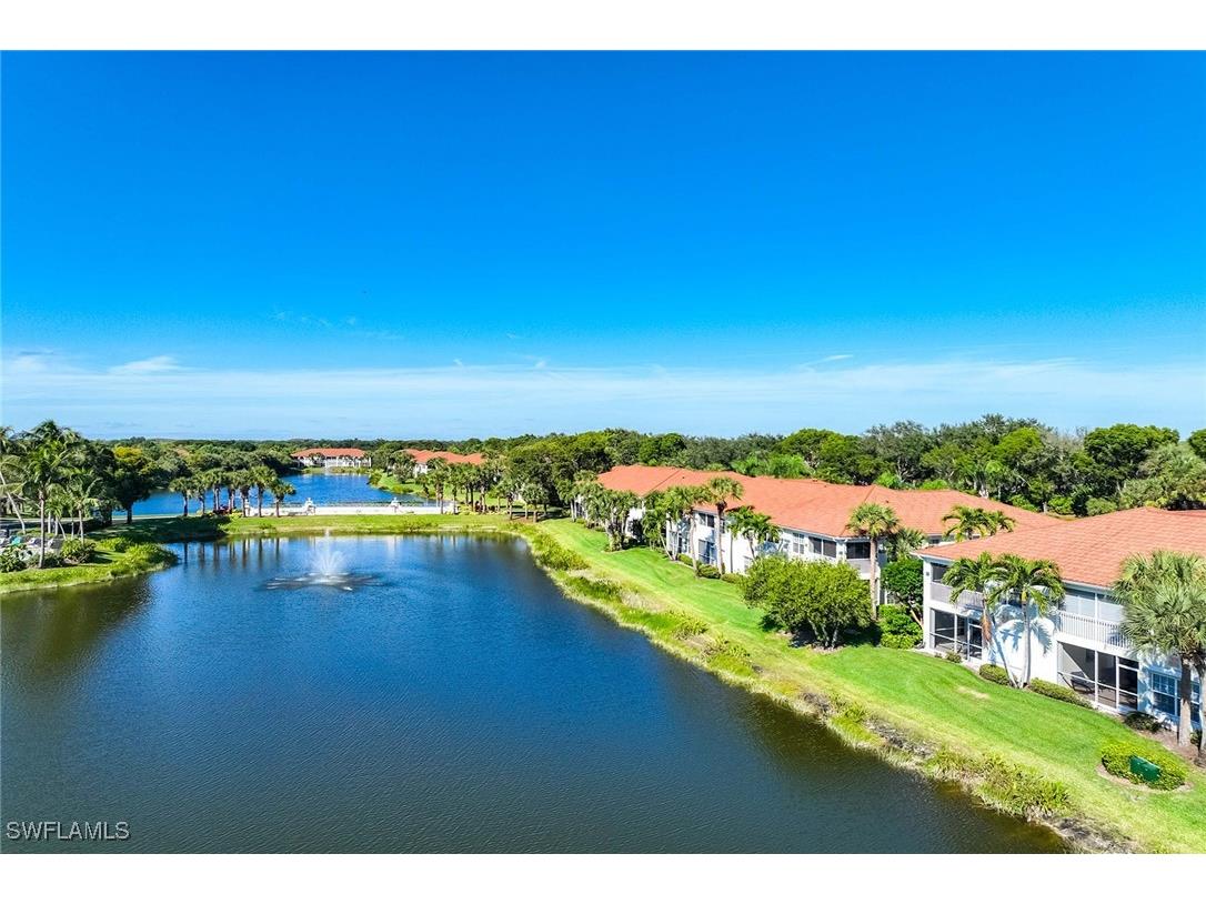 10801 Halfmoon Shoal Road #203 Estero FL 34135 225082282 image27