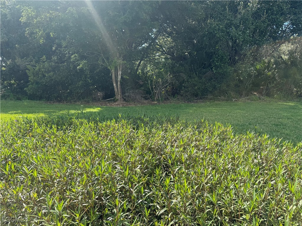 10808 Marble Brook Boulevard Lehigh Acres FL 33936 2025011502 image22