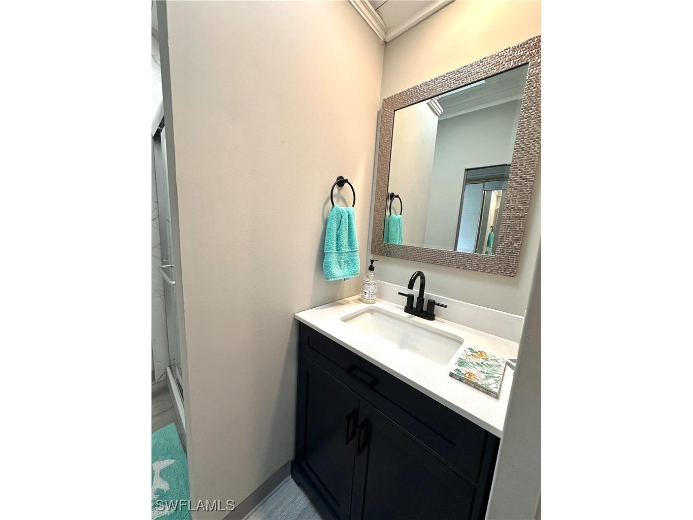 10831 Vireo Circle Estero FL 33928 225082533 image16