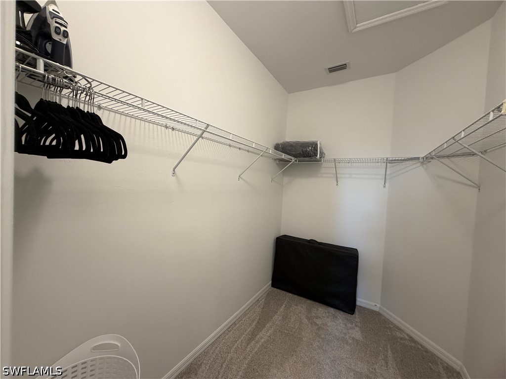 10842 Alvara Way Bonita Springs FL 34135 226020753 image28