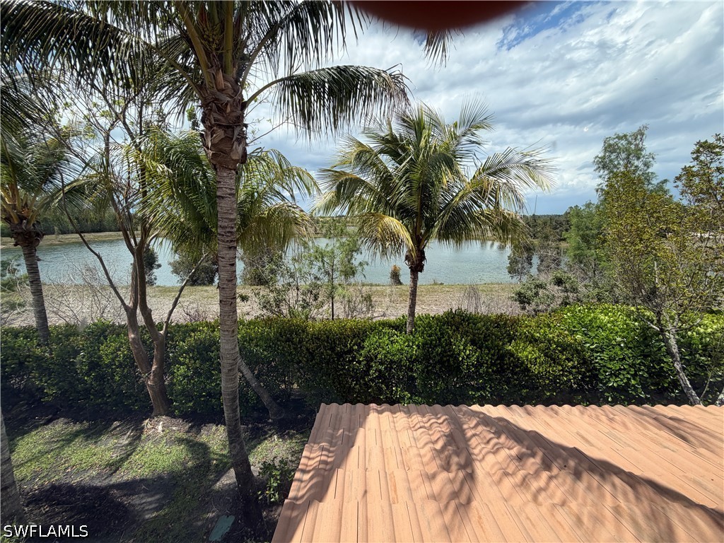 10842 Alvara Way Bonita Springs FL 34135 226020753 image32