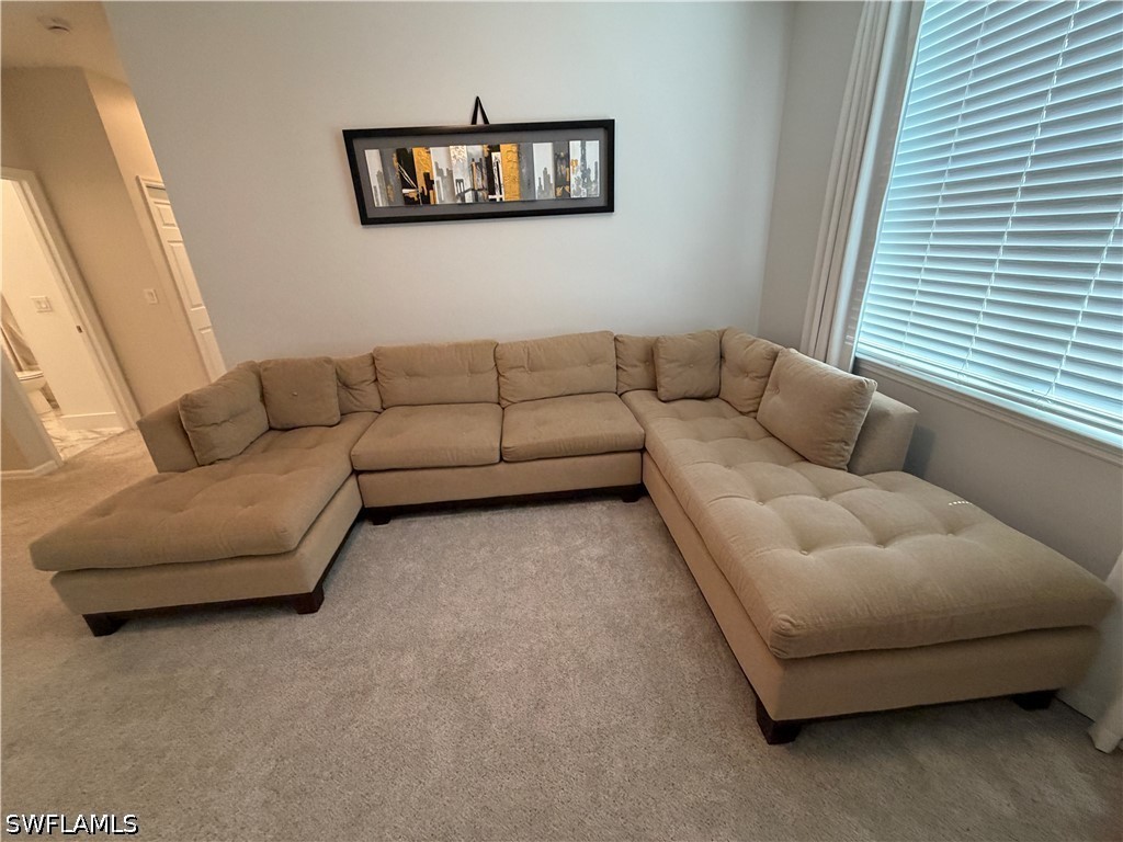 10842 Alvara Way Bonita Springs FL 34135 226020753 image34