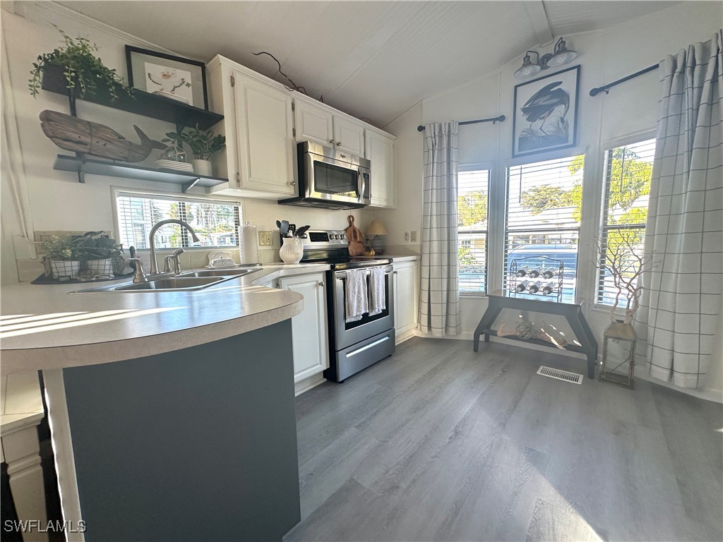 10847 Bonapartes Gull Estero FL 33928 226001092 image19