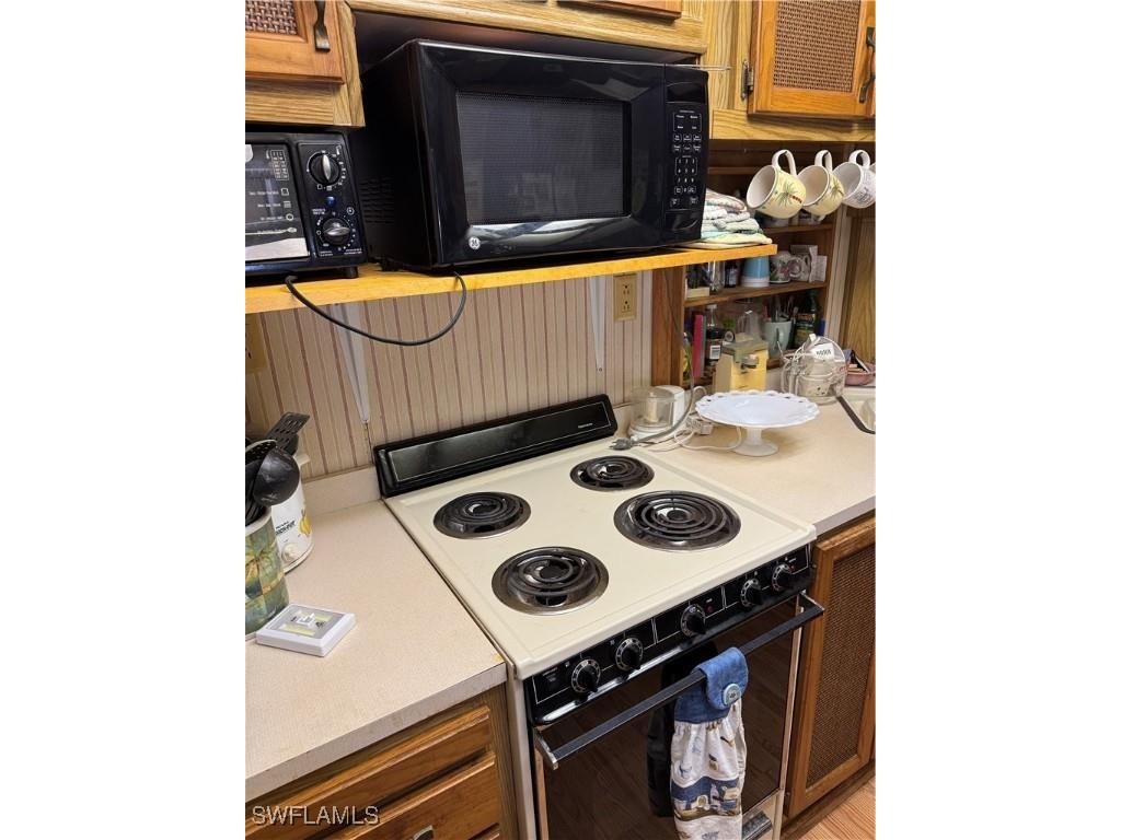 10848 Bonapartes Gull Estero FL 33928 225027717 image11