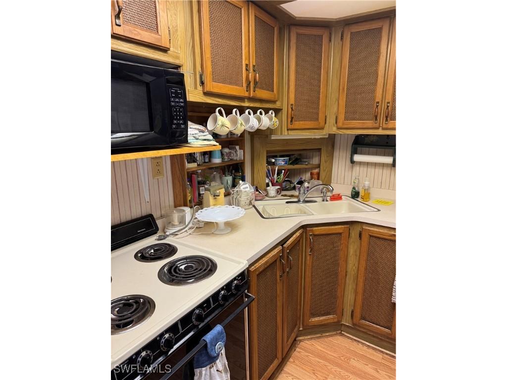 10848 Bonapartes Gull Estero FL 33928 225027717 image14