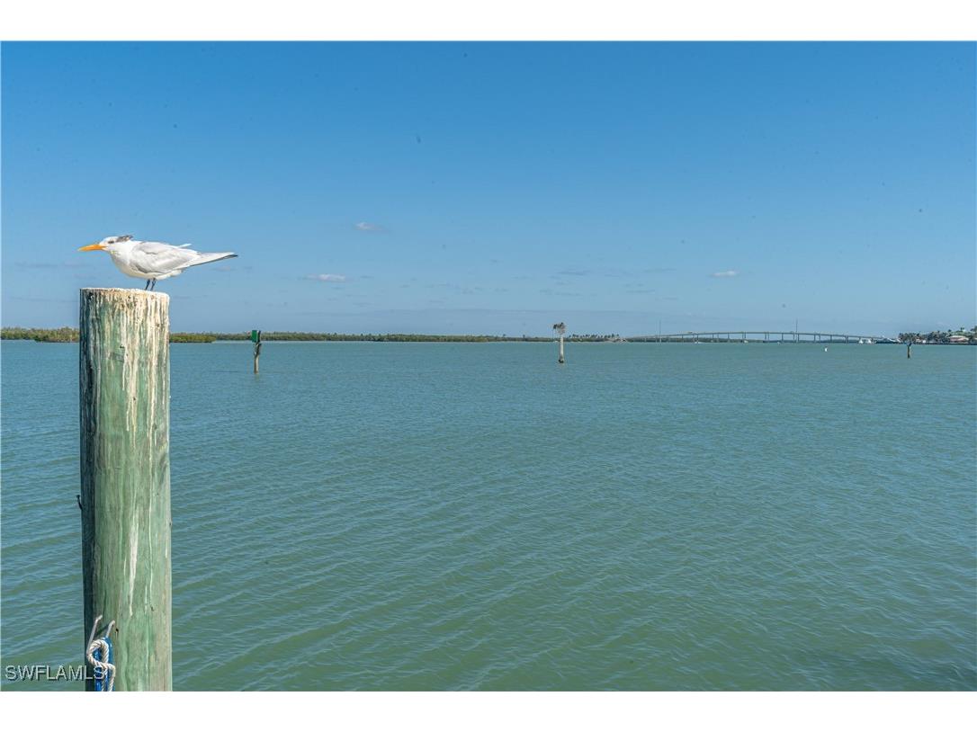 1085 Bald Eagle Drive #E505 Marco Island FL 34145 225076448 image43