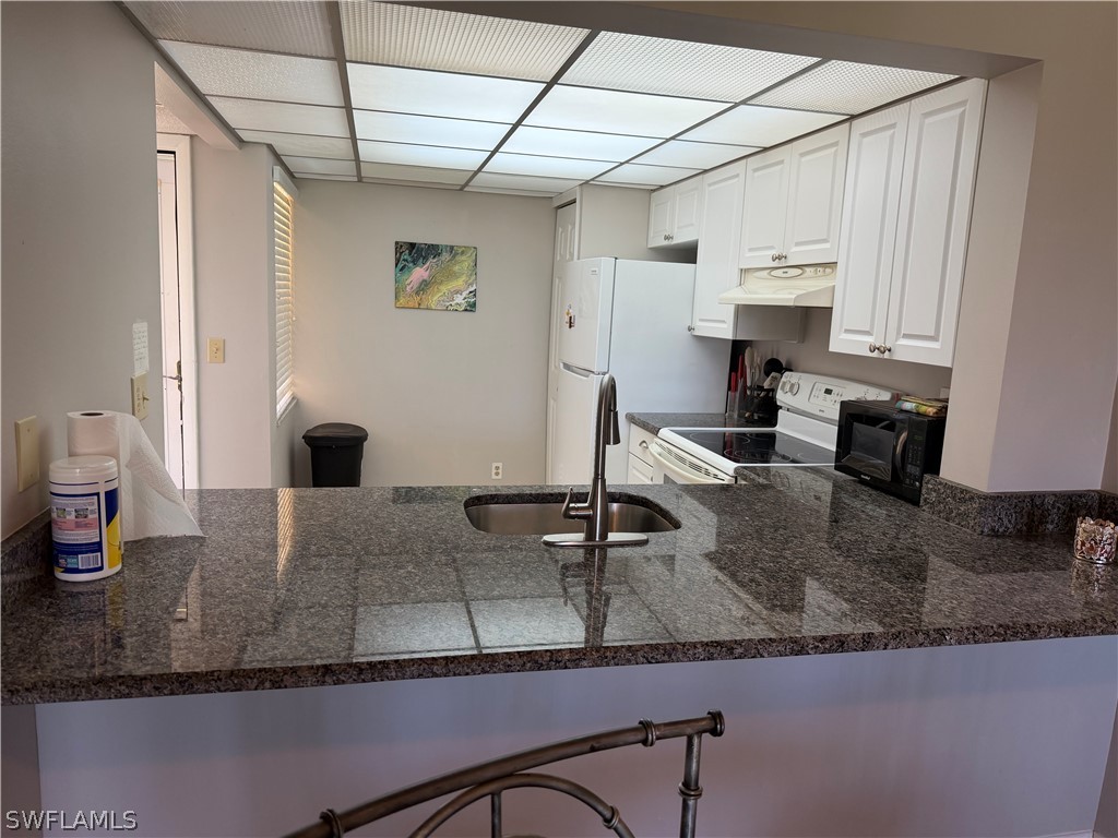 1085 Forest Lakes Drive #8106 Naples FL 34105 226012057 image5