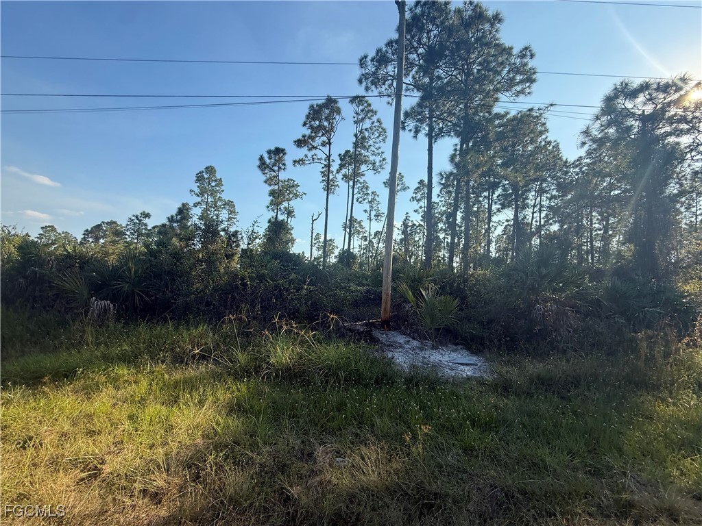 1084/1086 Ainsworth Street E Lehigh Acres FL 33974 2025021934 image1