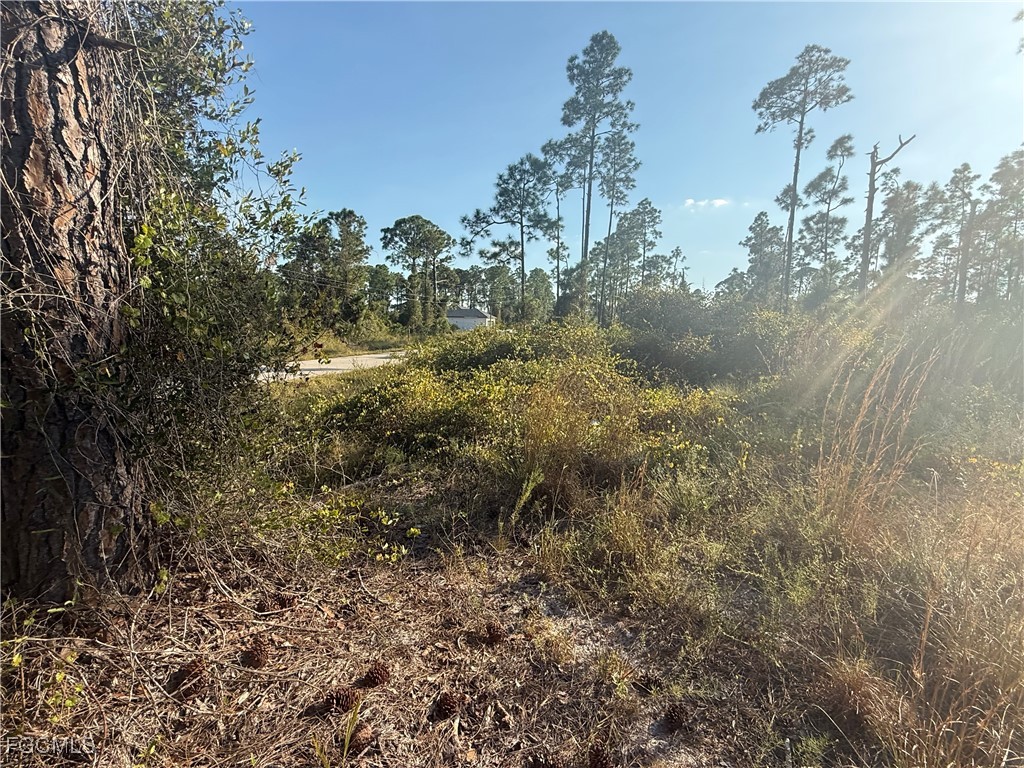 1084/1086 Ainsworth Street E Lehigh Acres FL 33974 2025021934 image3