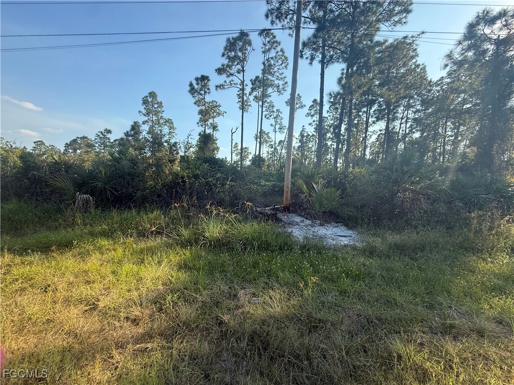 1084/1086 Ainsworth Street E Lehigh Acres FL 33974 2025021934 image4