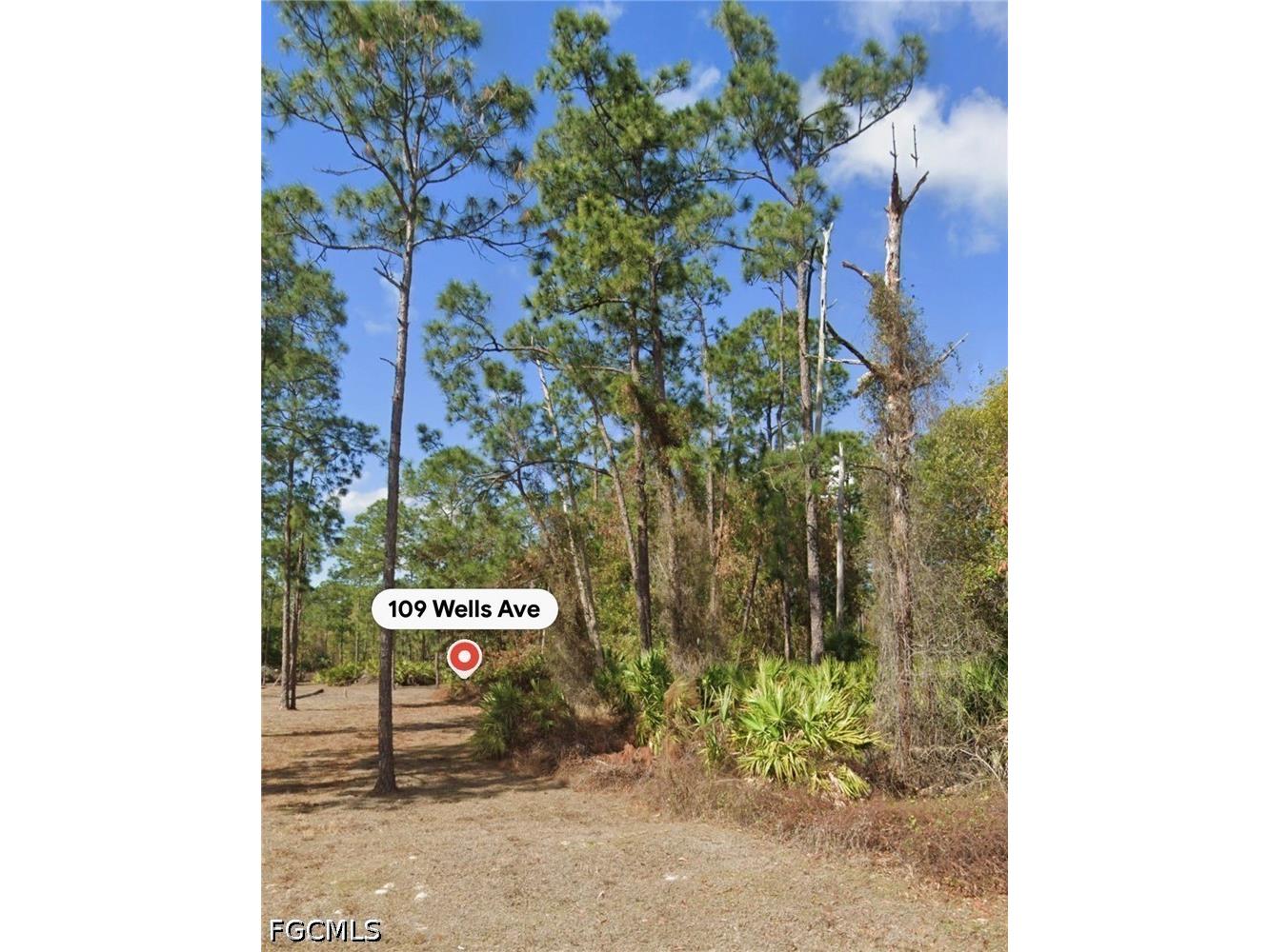 109 Wells Avenue Lehigh Acres FL 33936 2026030015 image1