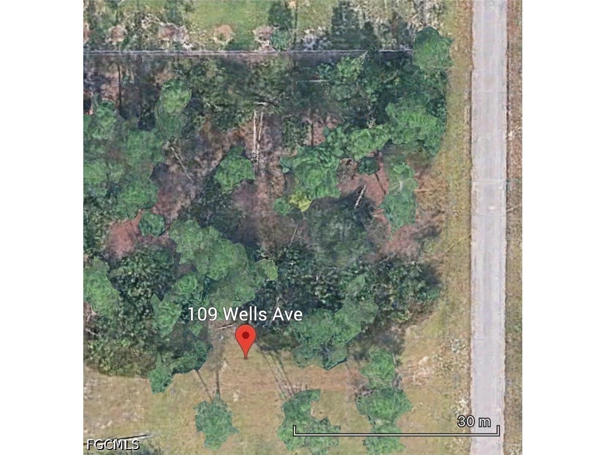 109 Wells Avenue Lehigh Acres FL 33936 2026030015 image3