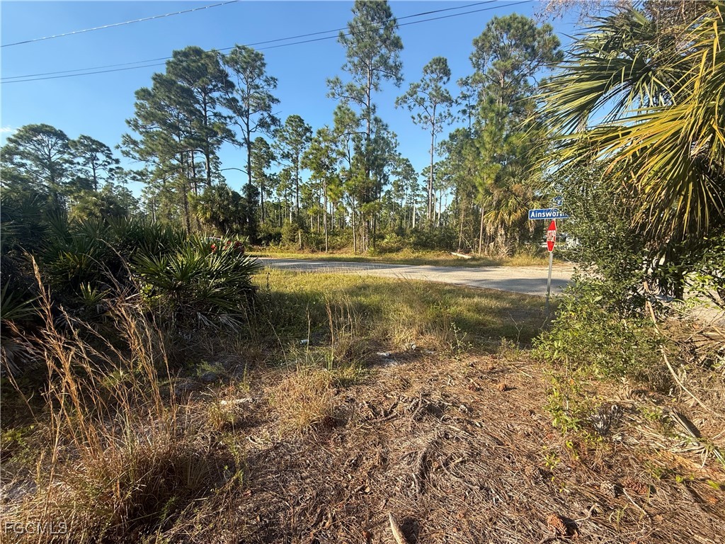 1088/1090 Ainsworth Street E Lehigh Acres FL 33974 2025021967 image3