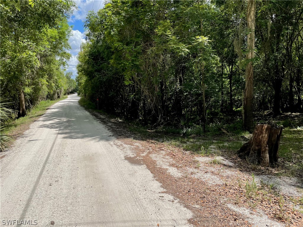 1091 NW Hodent Road Arcadia FL 34266 223007000 image1