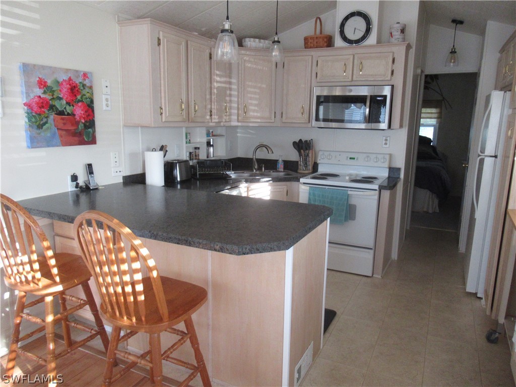 10927 Ground Dove Circle Estero FL 33928 226010695 image3