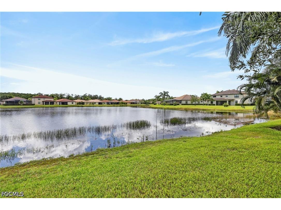 10975 Longwing Drive Fort Myers FL 33912 2026028377 image45
