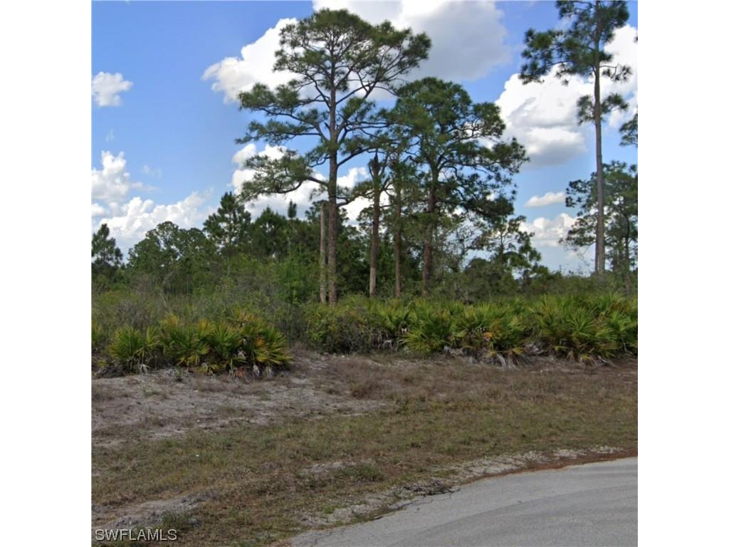 1099 Darlington Street Lehigh Acres FL 33974 223039686 image1