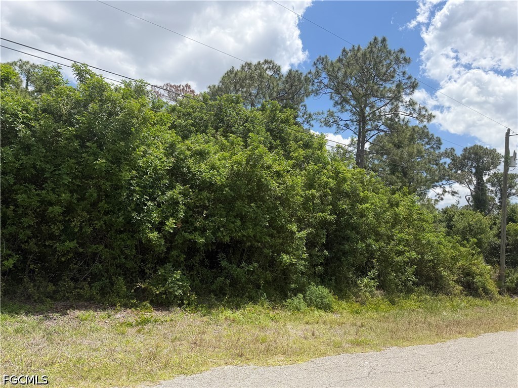 110 Columbus Avenue Lehigh Acres FL 33936 2026018632 image1