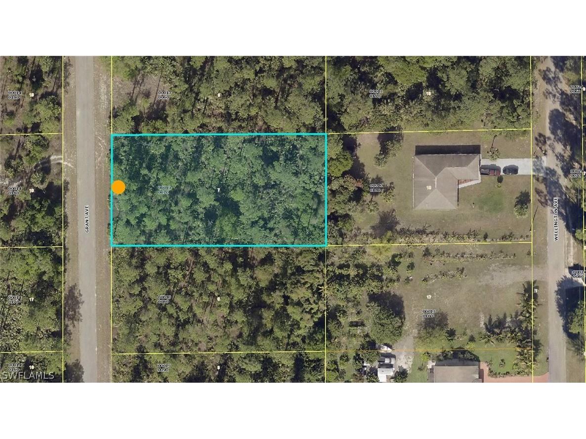 110 Grant Avenue Lehigh Acres FL 33936 222056623 image1