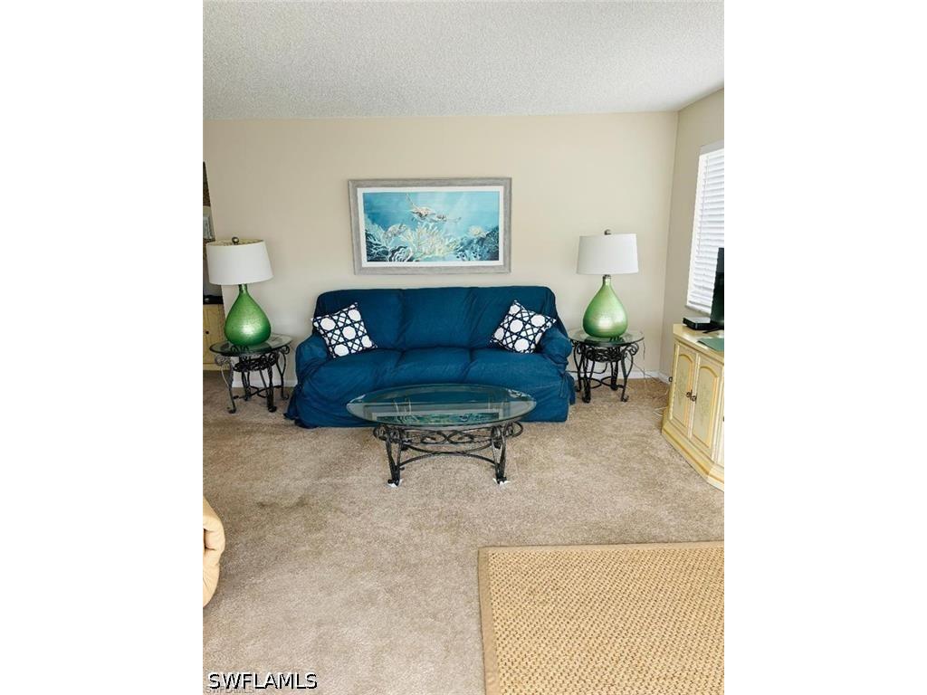 1100 8th Avenue S #314B Naples FL 34102 226019121 image6