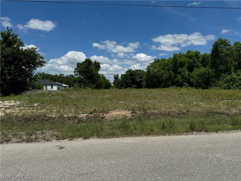 1101-1103 Hightower Avenue S Lehigh Acres FL 33973 224053984 image1