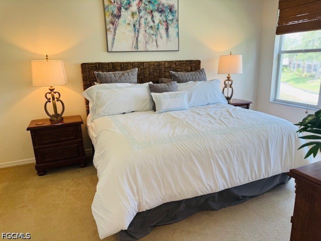 11012 Mill Creek Way #2205 Fort Myers FL 33913 2026018431 image12