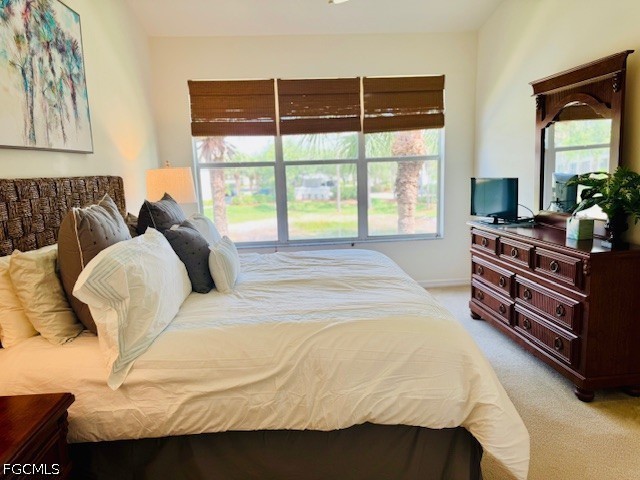 11012 Mill Creek Way #2205 Fort Myers FL 33913 2026018431 image13