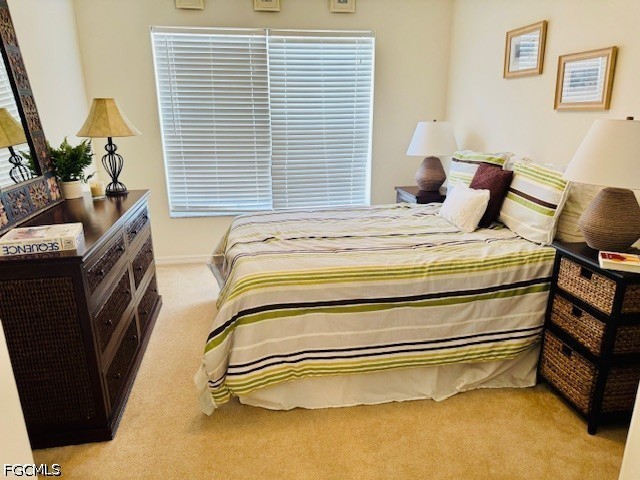11012 Mill Creek Way #2205 Fort Myers FL 33913 2026018431 image20