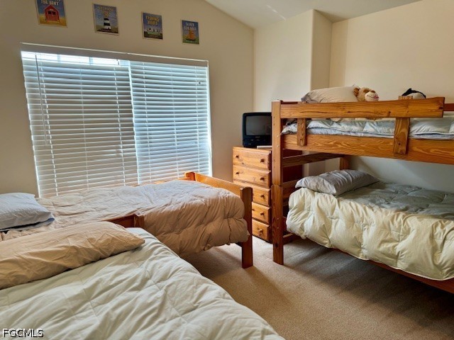 11012 Mill Creek Way #2205 Fort Myers FL 33913 2026018431 image21