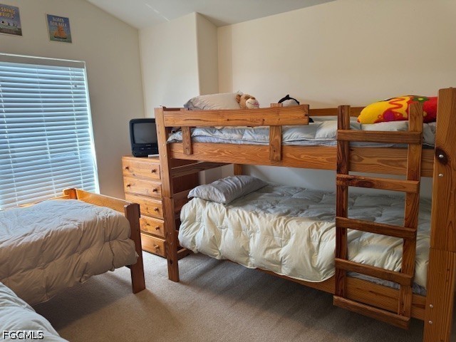 11012 Mill Creek Way #2205 Fort Myers FL 33913 2026018431 image23