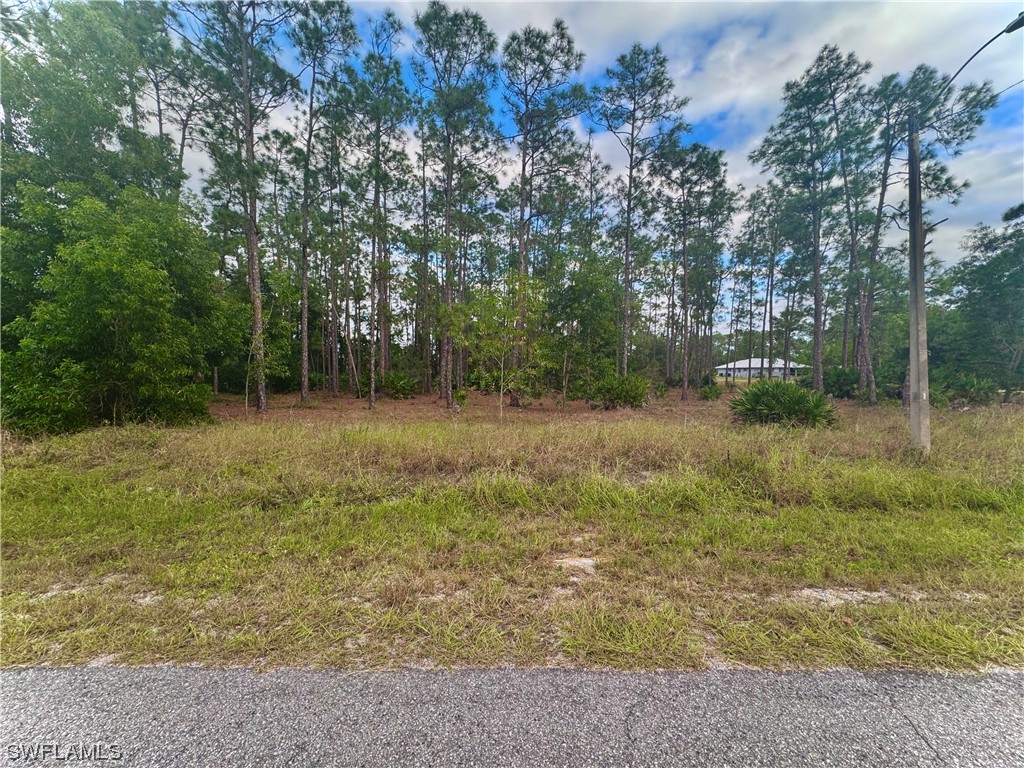 1102 Thompson Avenue Lehigh Acres FL 33972 223081256 image1