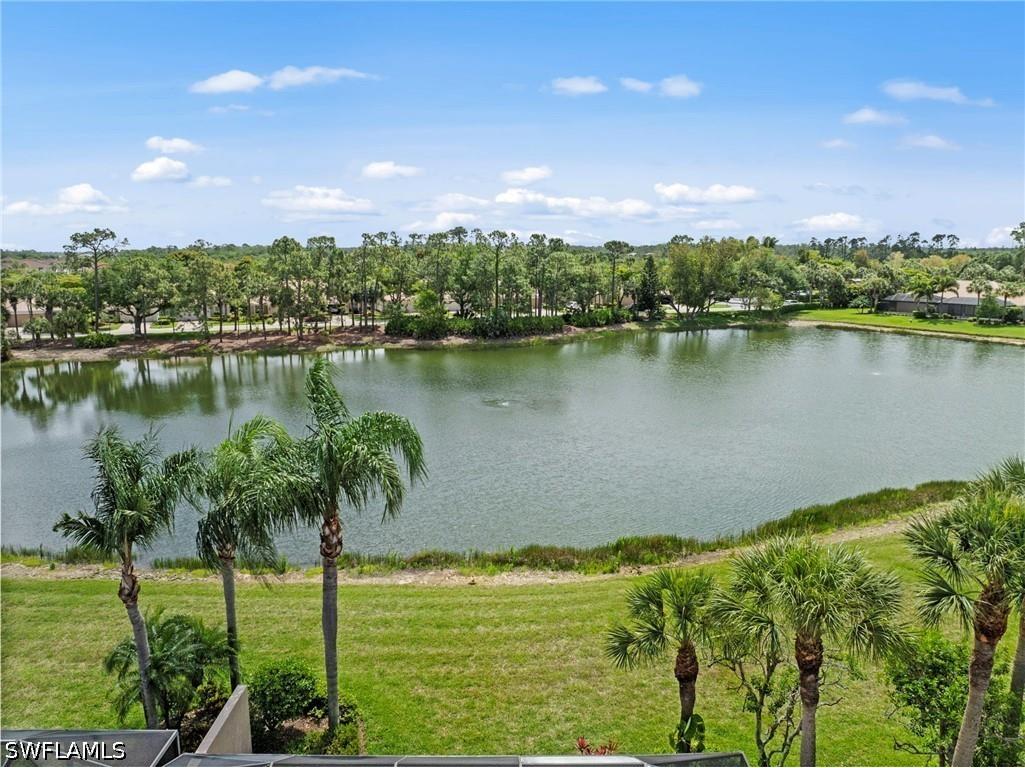11020 Iron Horse Way Fort Myers FL 33913 226014477 image28
