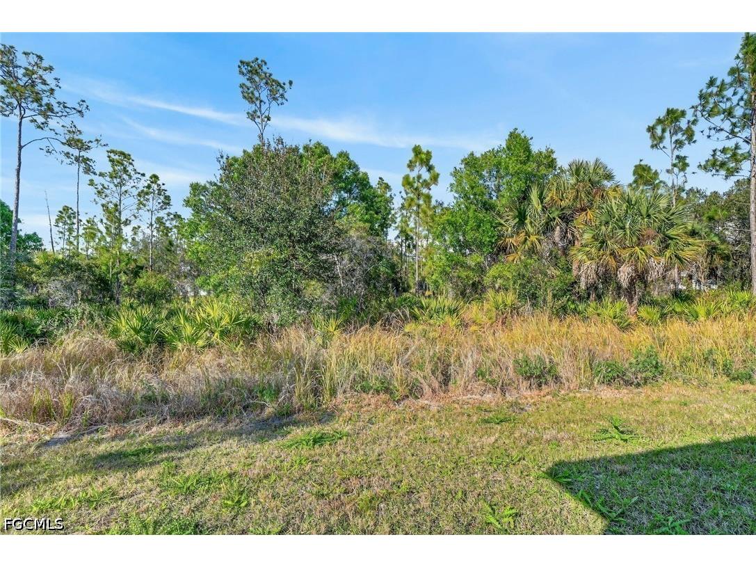 1103 E 7th Street Lehigh Acres FL 33972 2026024094 image39
