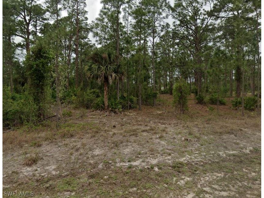 1103 Maple Avenue N Lehigh Acres FL 33972 223065035 image1