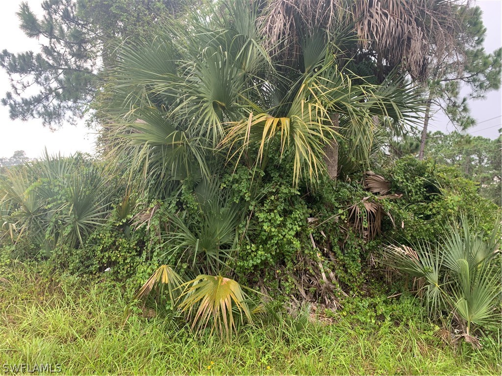 1103 Monroe Avenue Lehigh Acres FL 33972 222058798 image1