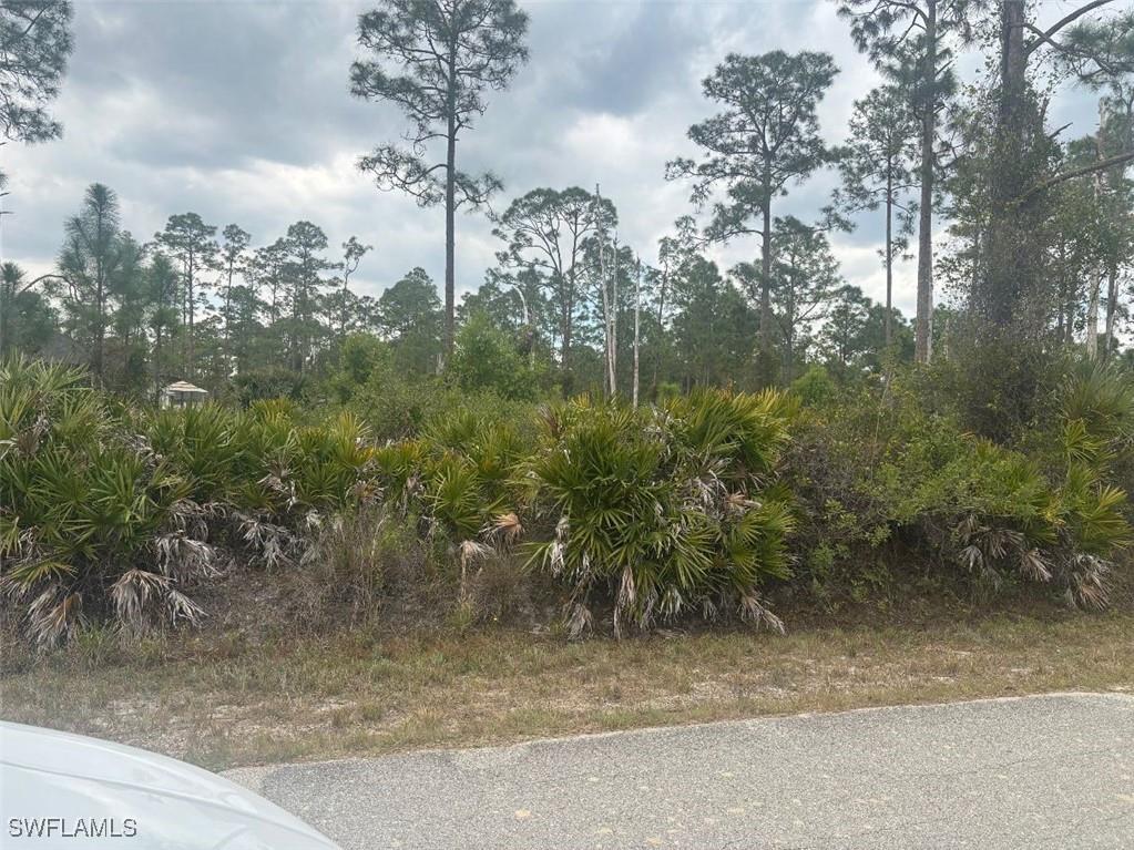 1103 Plumosa Avenue Lehigh Acres FL 33972 225020721 image1