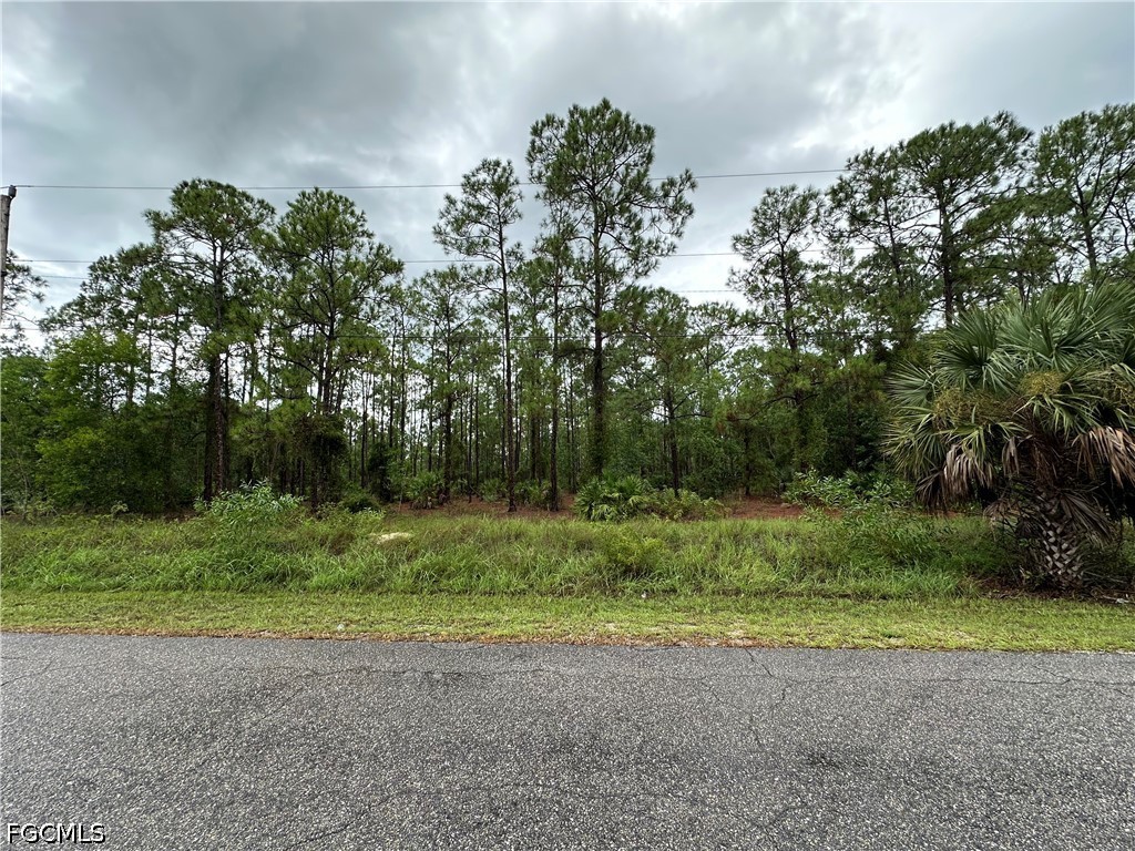 1103 Thompson Avenue Lehigh Acres FL 33972 2026028082 image1