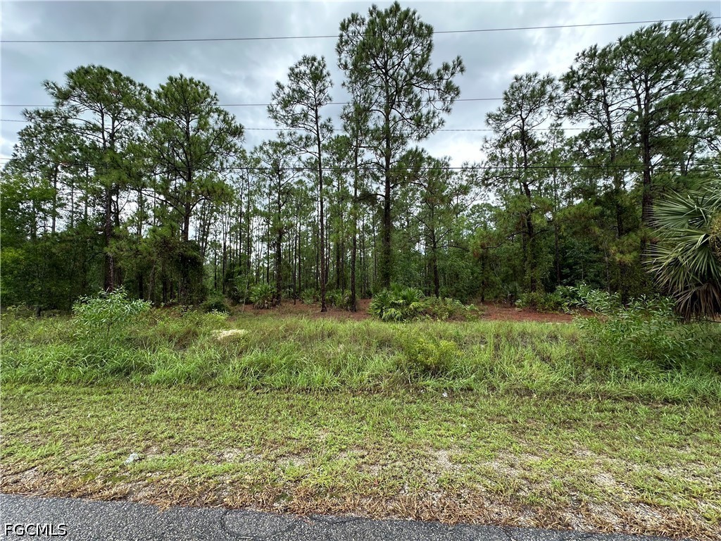 1103 Thompson Avenue Lehigh Acres FL 33972 2026028082 image4