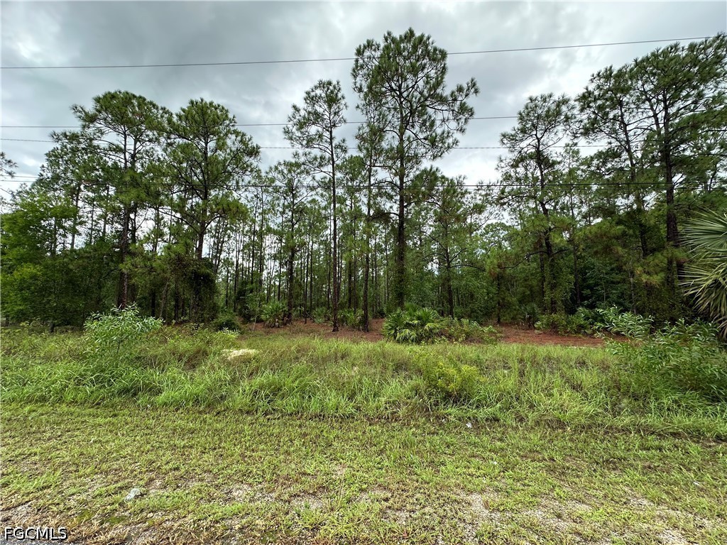 1103 Thompson Avenue Lehigh Acres FL 33972 2026028082 image6
