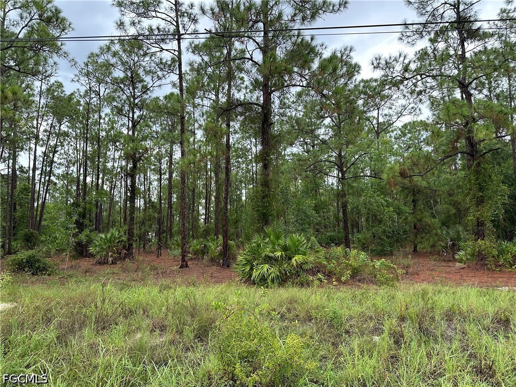 1103 Thompson Avenue Lehigh Acres FL 33972 2026028082 image7