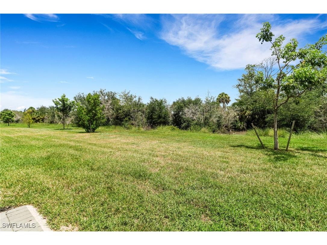 11035 Pebble Springs Run Fort Myers FL 33913 225066343 image33