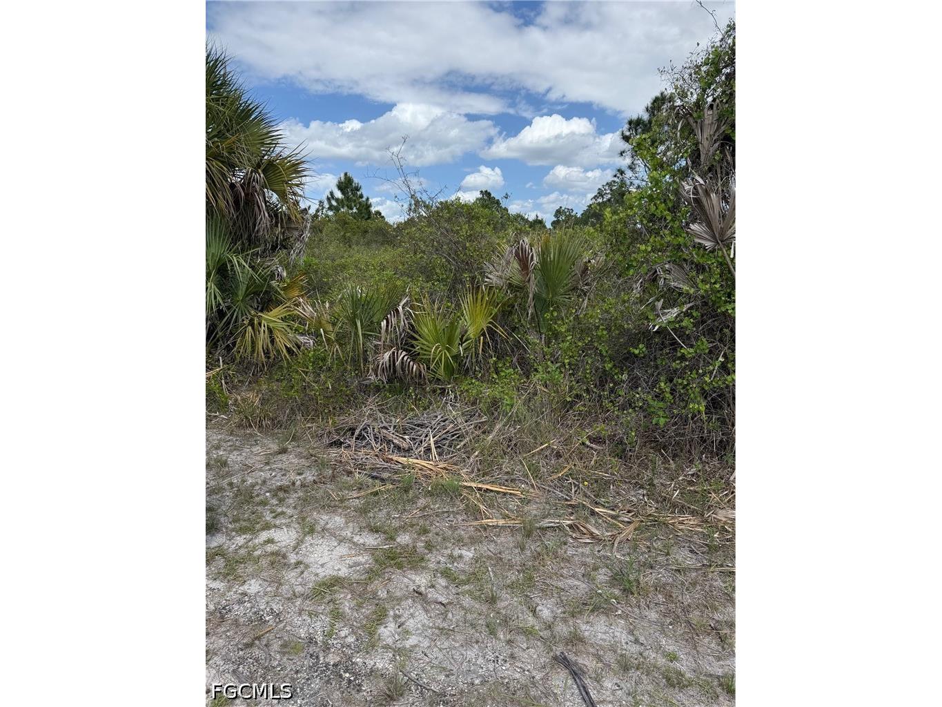 1104 Hamilton Avenue Lehigh Acres FL 33972 2026017141 image1
