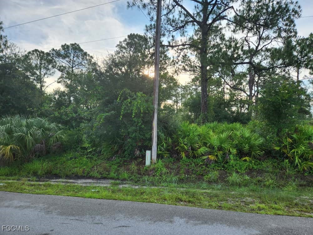 1104 Willard Avenue Lehigh Acres FL 33972 225063215 image3